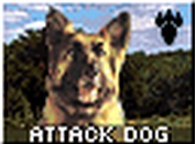 Attack Dogs